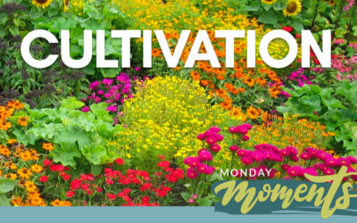 Monday Moments – Cultivation